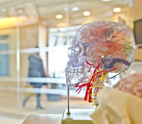 End-to-End Automation